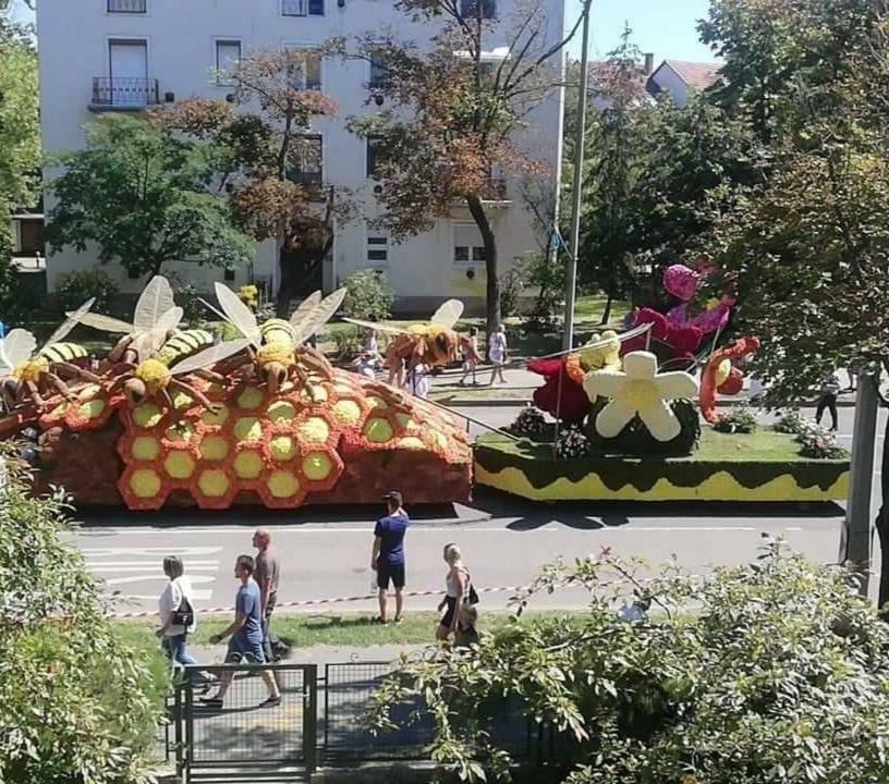 Sugar Apartament